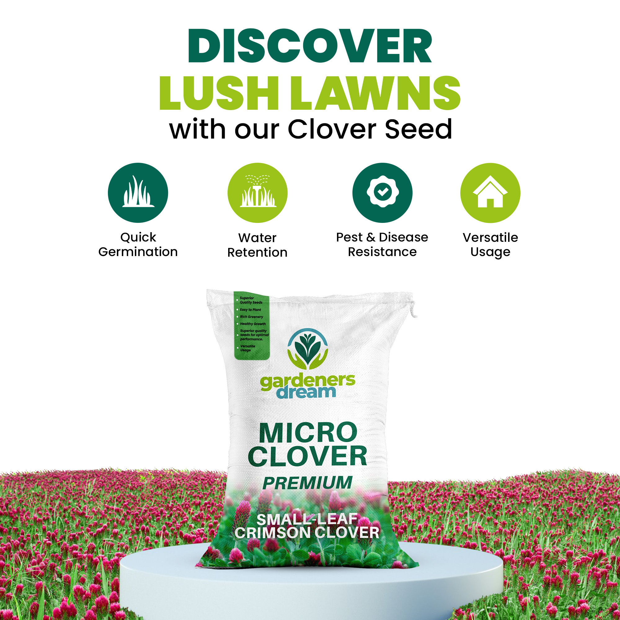 Micro Mixed Clover Grass Seed Eco-Friendly Drought Resistant Lawn Ground Cover - Picture 17 of 54