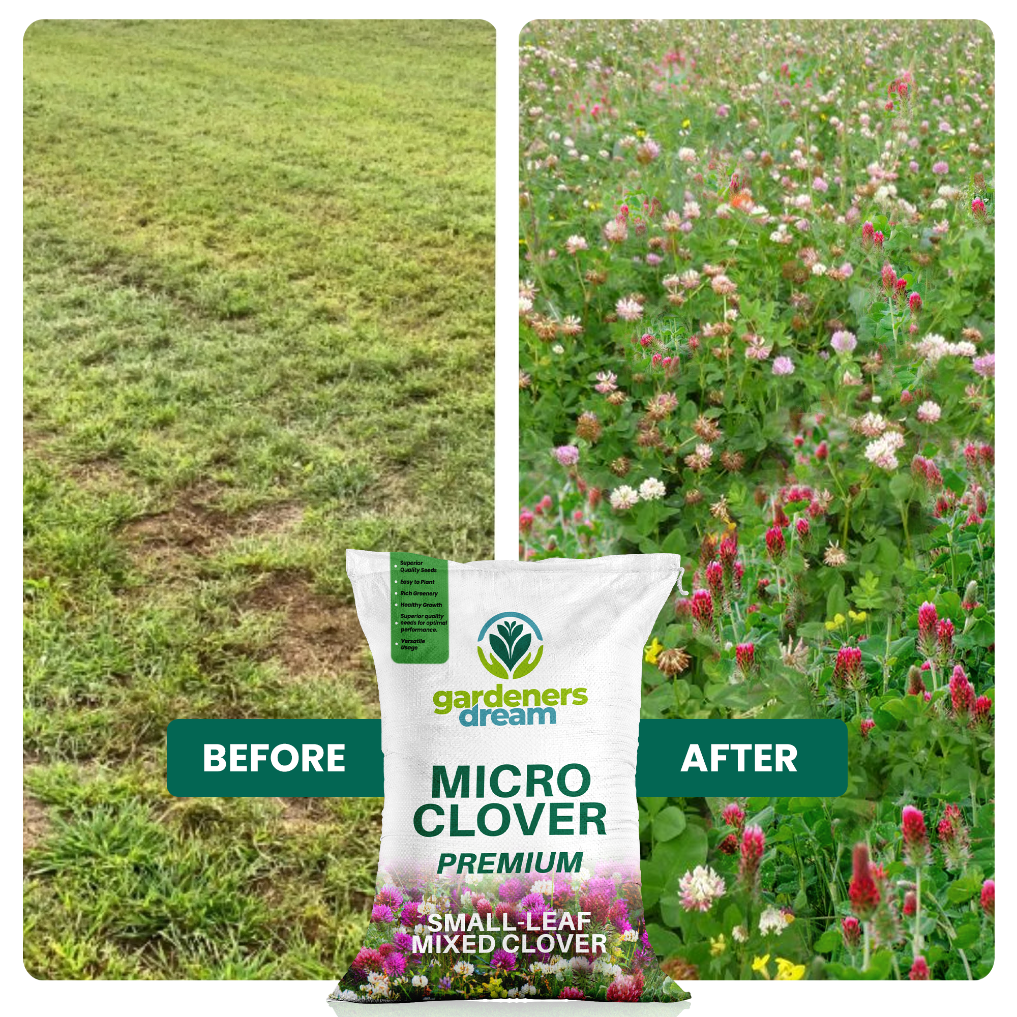 Micro Mixed Clover Grass Seed Eco-Friendly Drought Resistant Lawn Ground Cover - Picture 23 of 54
