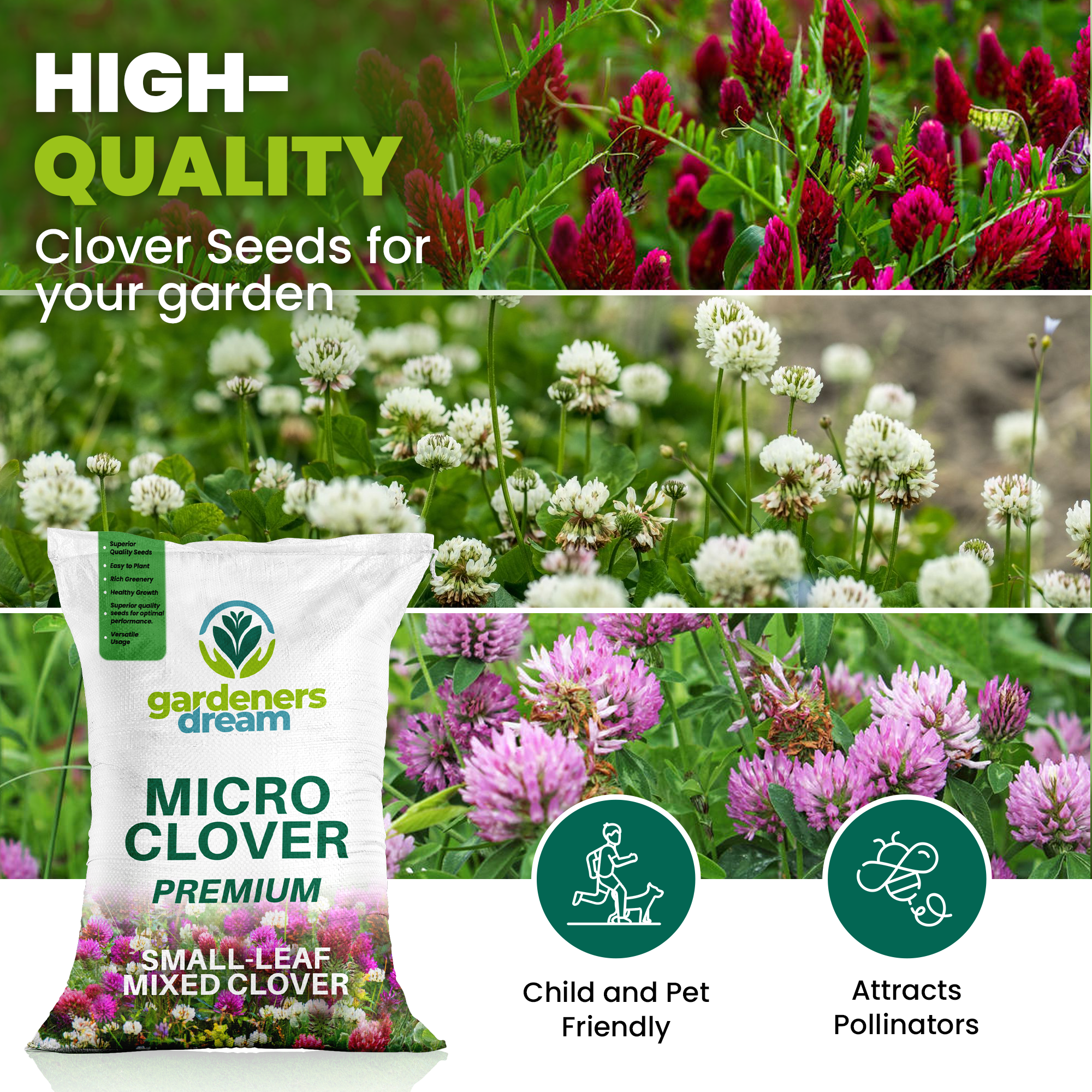 Micro Mixed Clover Grass Seed Eco-Friendly Drought Resistant Lawn Ground Cover - Picture 26 of 54