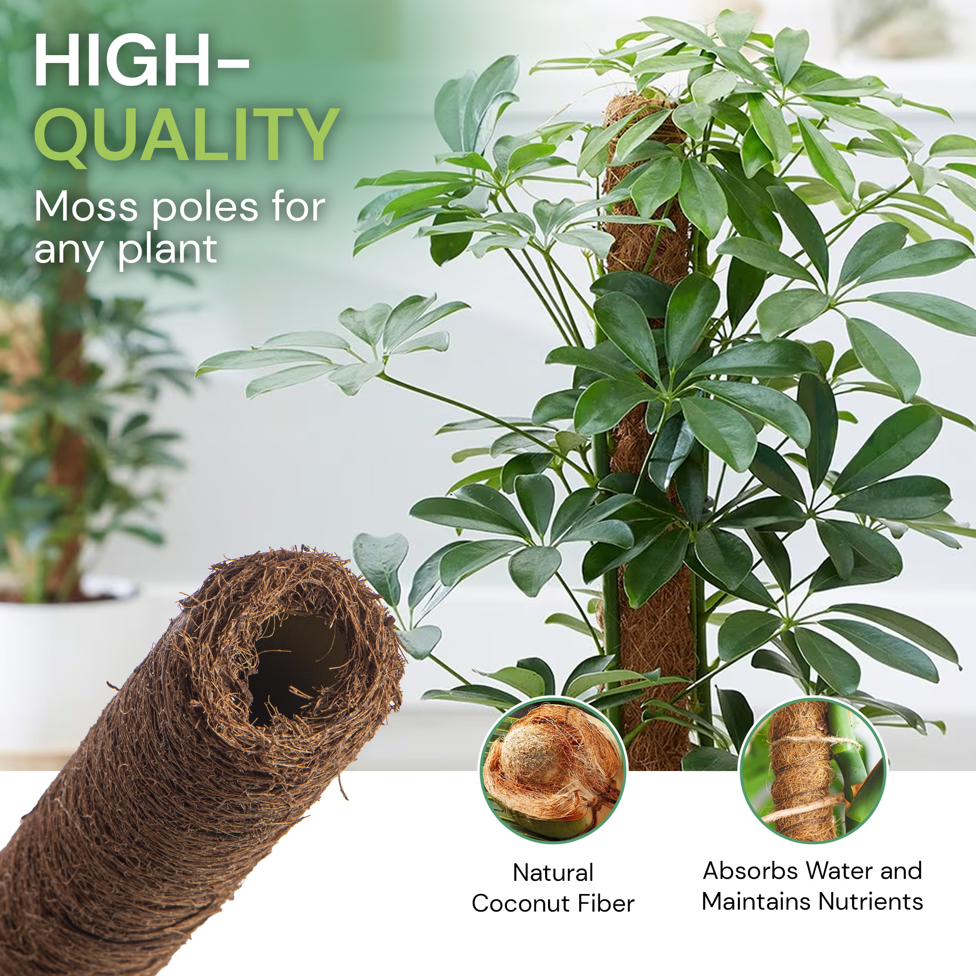 90cm Coir Moss Pole – Extendable Climbing Plant Support for Monstera & Vines - Picture 22 of 25