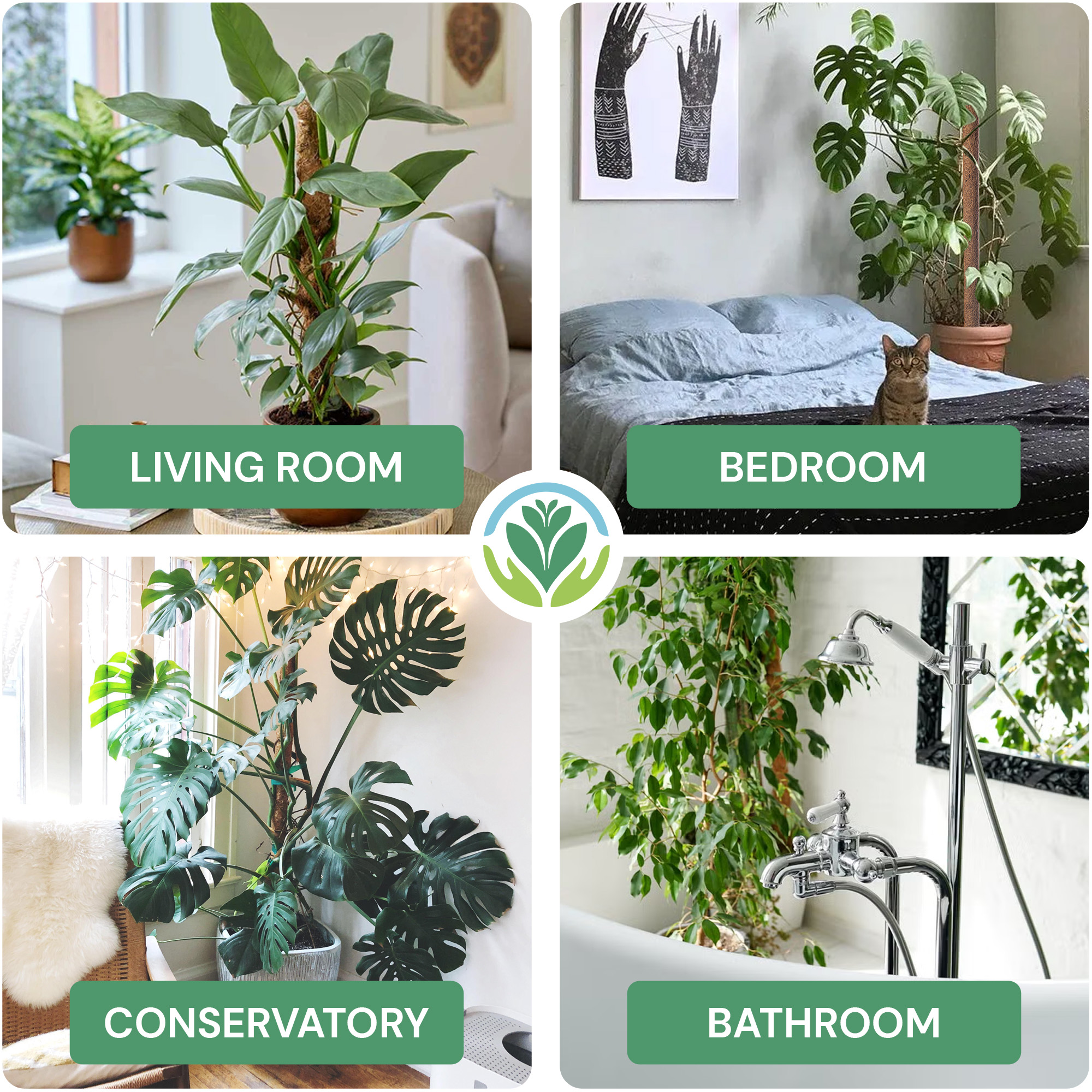 90cm Coir Moss Pole – Extendable Climbing Plant Support for Monstera & Vines - Picture 25 of 25