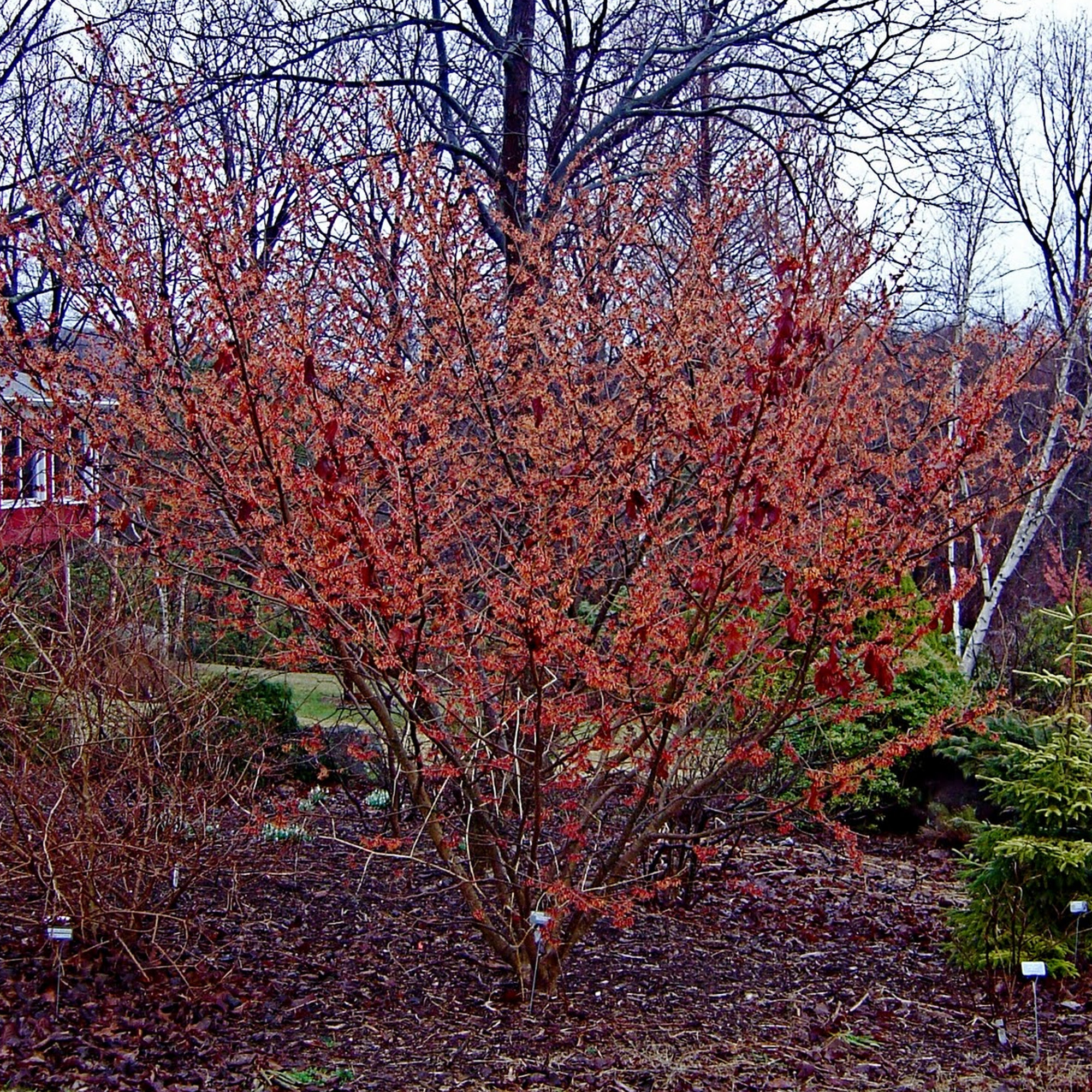 Picture 8 of 12