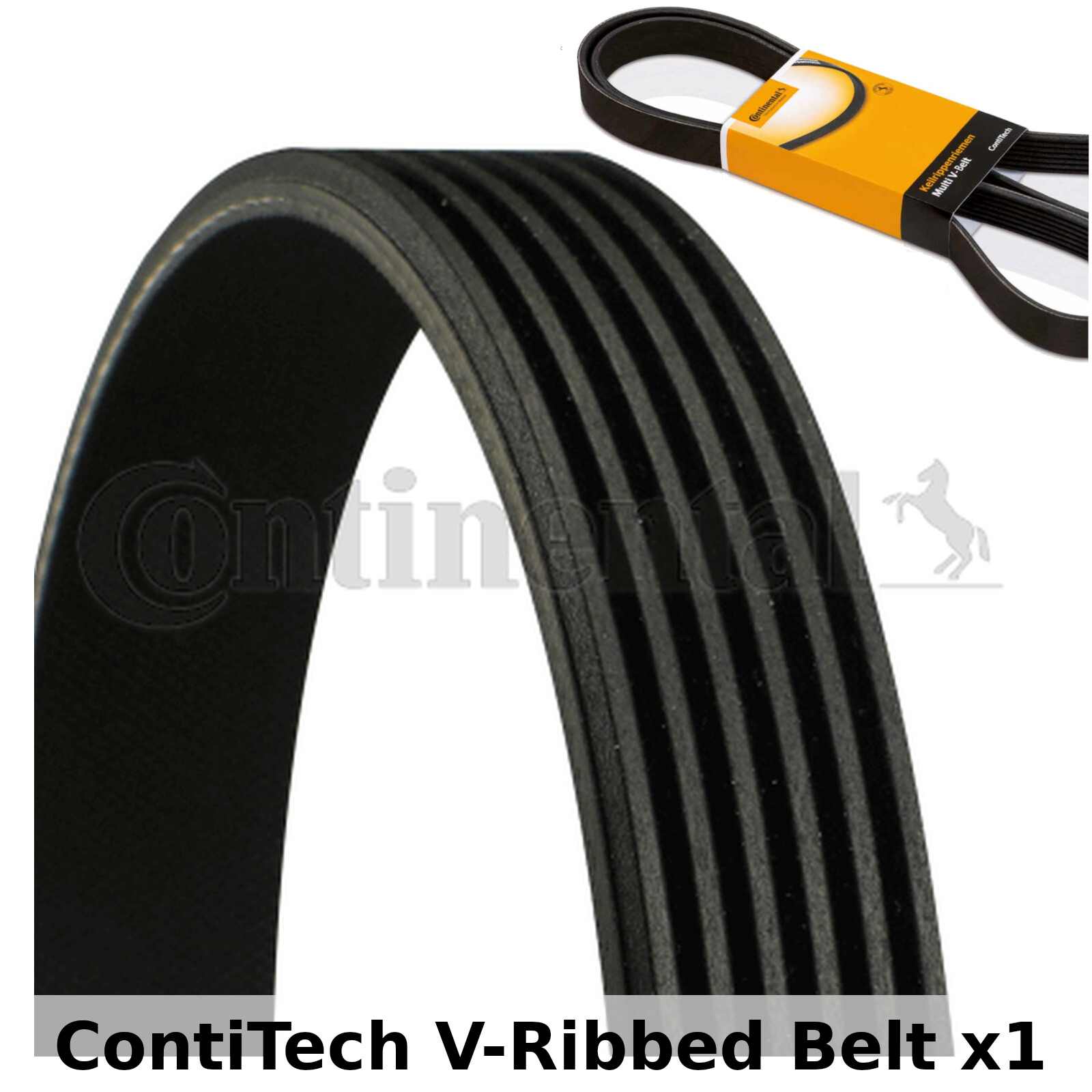 Contitech 6pk1610 crantées ** NEUF **