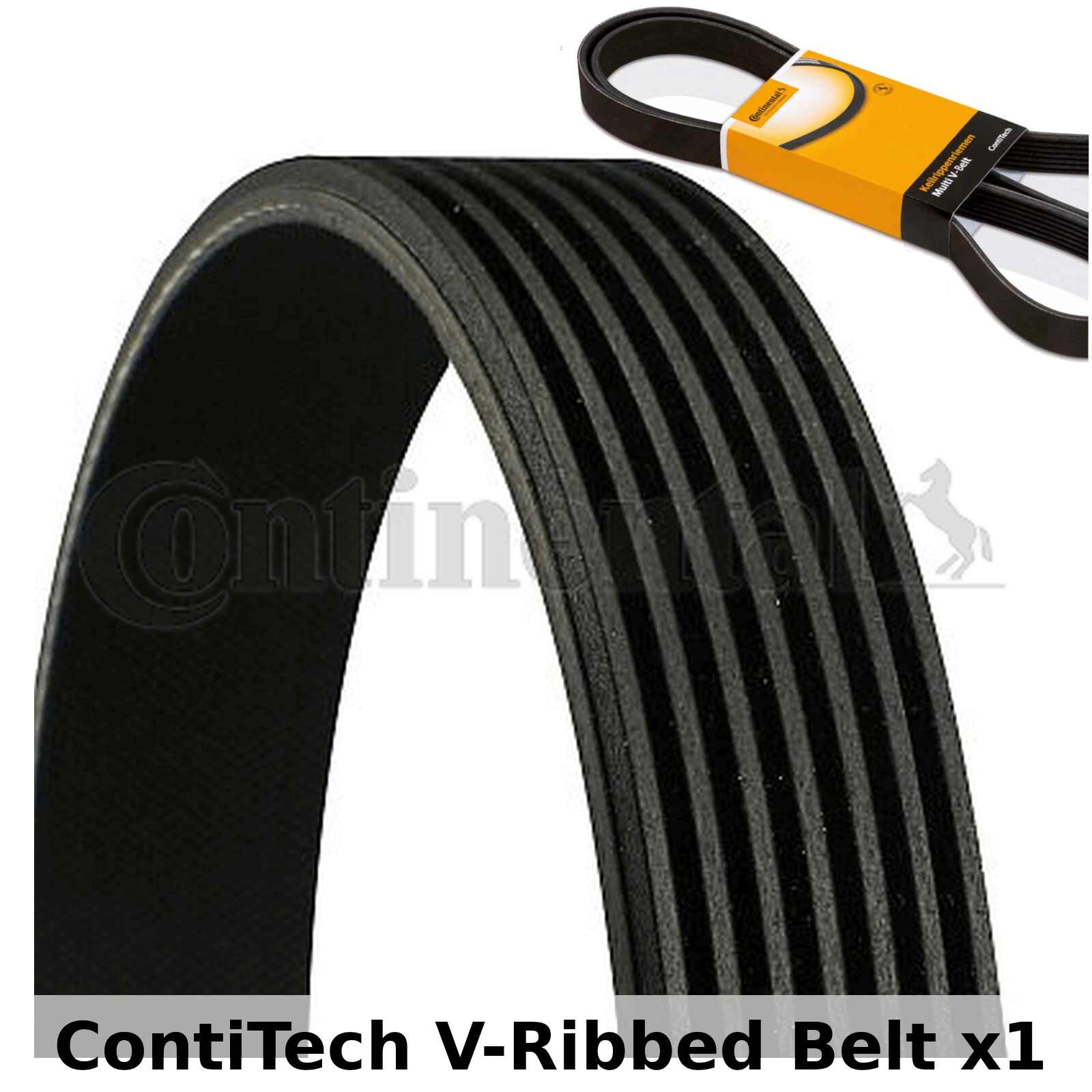 CONTITECH KEILRIEMEN KEILRIPPENRIEMEN AUDI FORD 7PK2967 CONTITECH KEILRIEMEN KEILRIPPENRIEMEN AUDI FORD 7PK2967