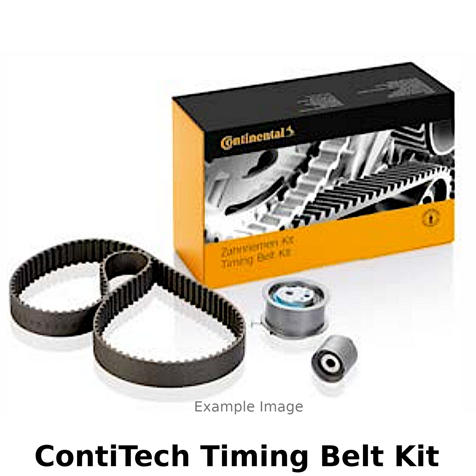 harbinger polypro dip belt