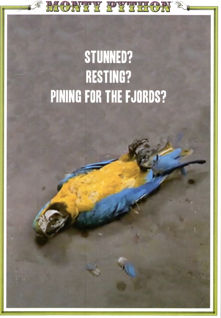 Monty python dead parrot sketch birthday greeting card funny humour cards