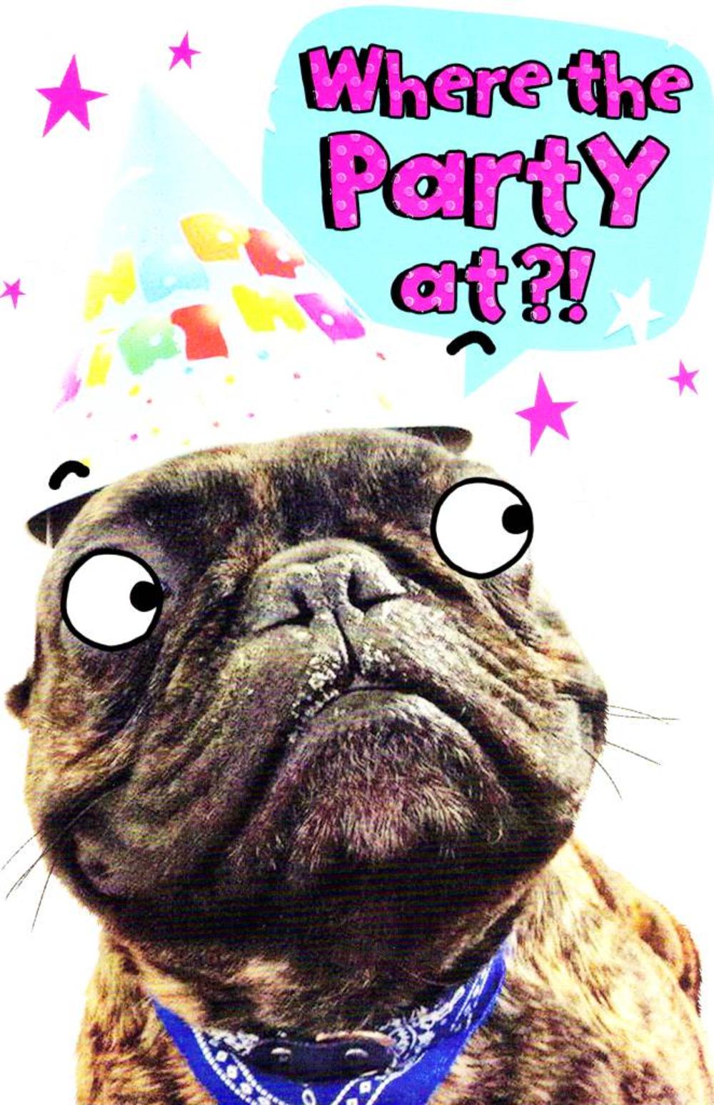 Funny Wheres The Party Birthday Card Cards Love Kates 5923