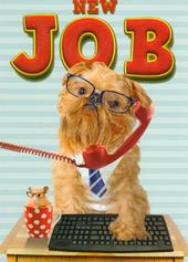 new job cards love kate s cards gifts with love love kates