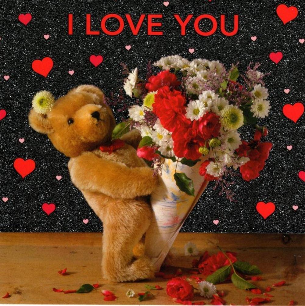 cute teddy bear valentines day