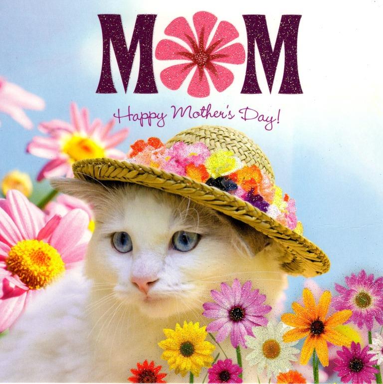 Mum Cat Happy Mother s Day Flittered Card Cards Love Kates