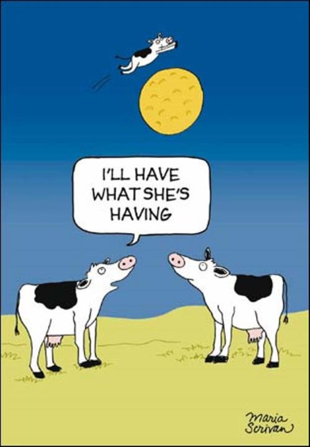 Cow Jumped Over The Moon Funny Berger & Wyse Card | Cards | Love Kates