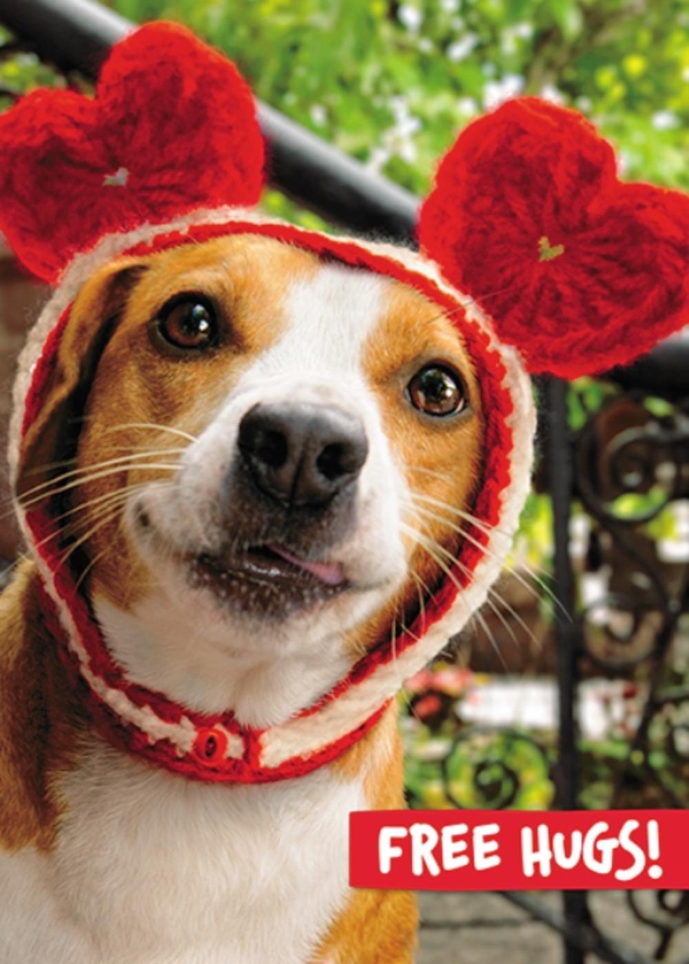 Avanti Valentine's Day Dog I Ruv You Greeting Card Cards