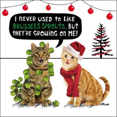 Christmas Shopping Online Funny Crackerjack Christmas Card Animal Humour Cards