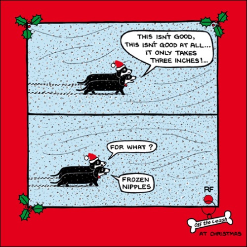 Frozen Nipples Funny Off The Leash Cartoon Dog Humour Christmas Card 5050961079404 Ebay