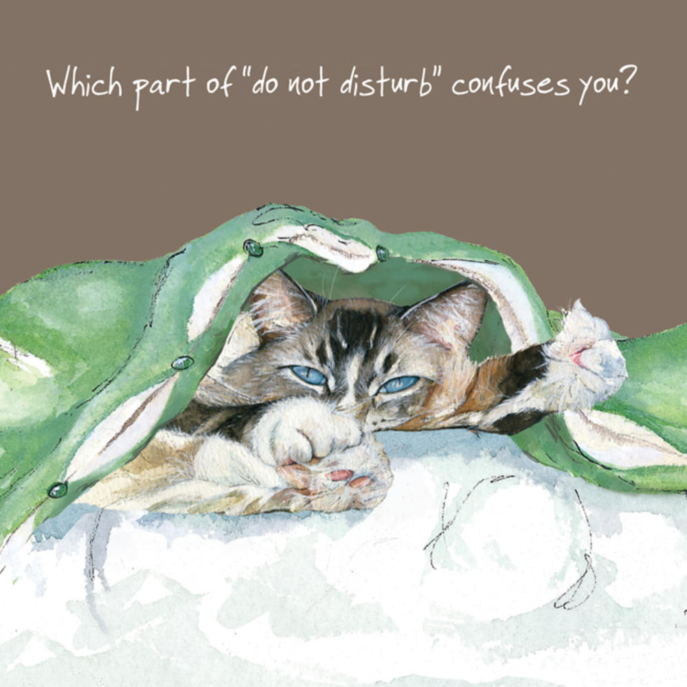 Cat Do Not Disturb You Little Dog Laughed Greeting Card | Cards