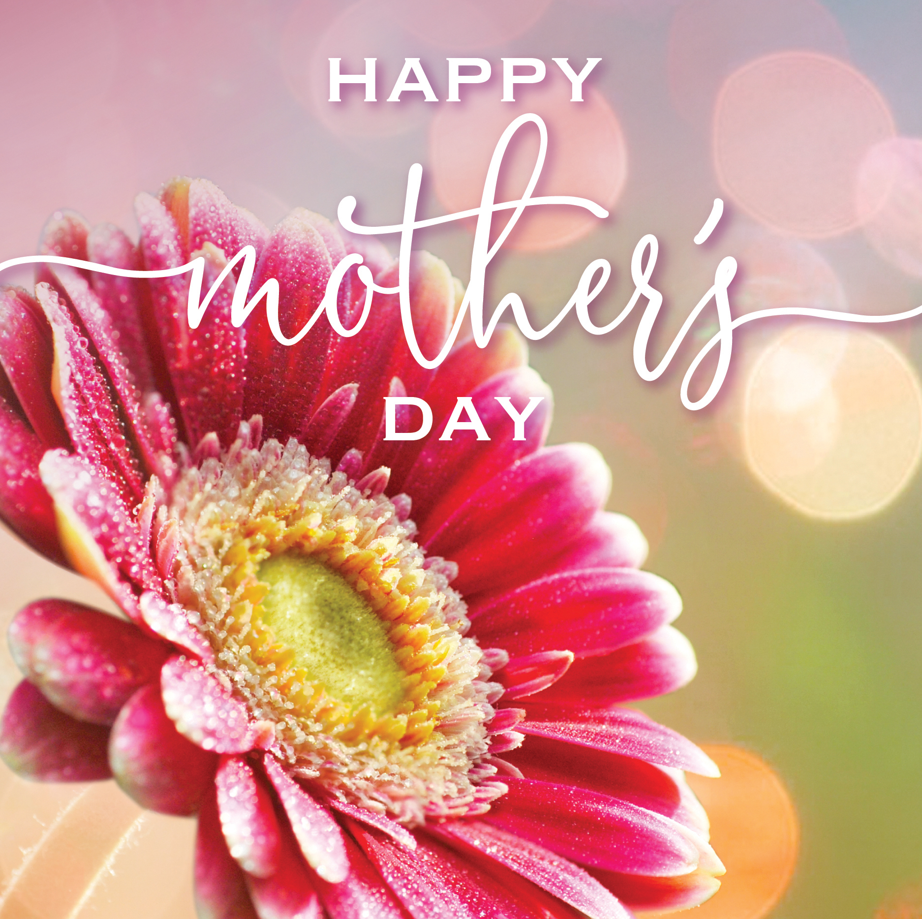 Pink Flower Happy Mother's Day Card Cards