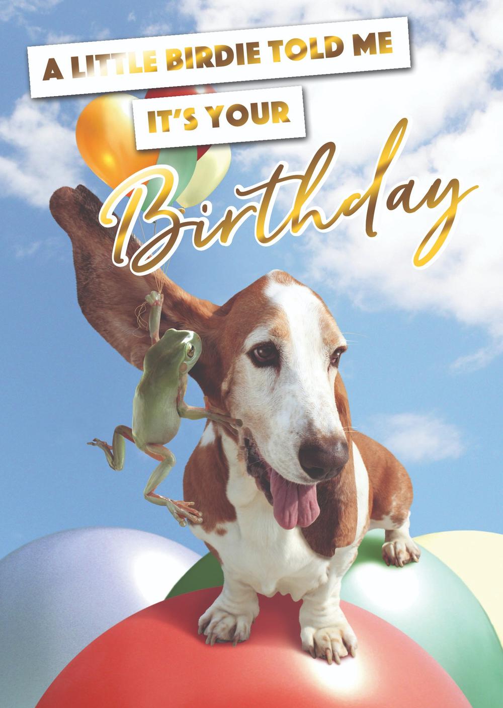 a-little-birdie-told-me-that-it-s-your-birthday-card-etsy