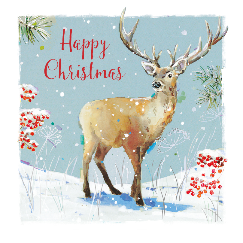 Pack of 6 Snowy Stag Charity Christmas Cards Supporting Multiple