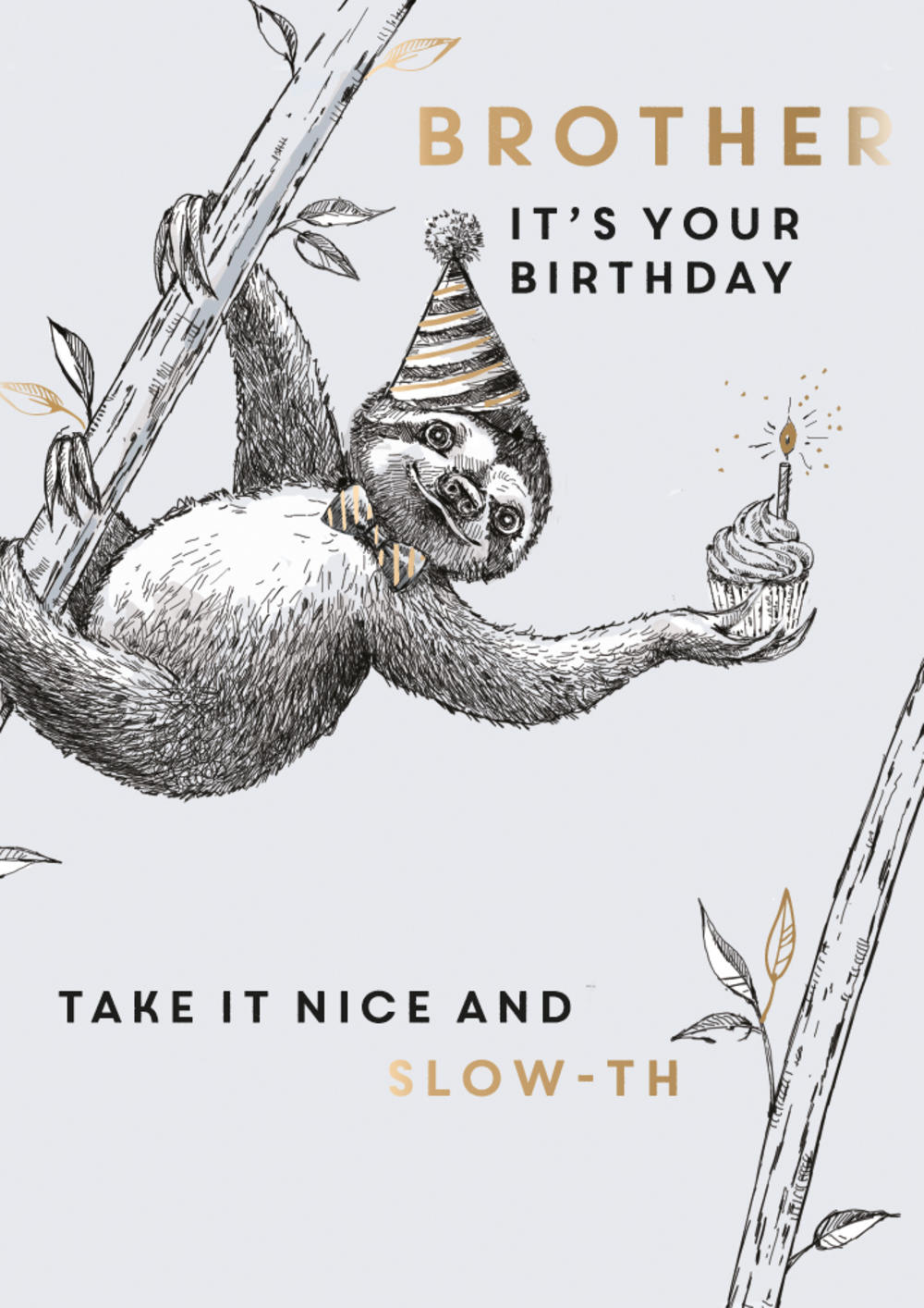 brother-take-it-nice-slow-th-birthday-greeting-card-cards