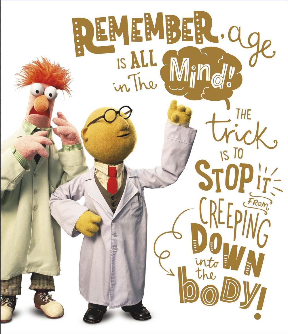 Muppets Happy Birthday Meme