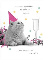 So Less Of The Busy Funny Birthday Greeting Card | Cards