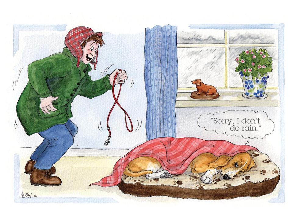 Dog Walk Sorry I Don't Do Rain Alison's Animals Cartoon Greeting Card | Cards Dog Walk Sorry I Don't Do Rain Alison's Animals Cartoon Greeting Card | Cards