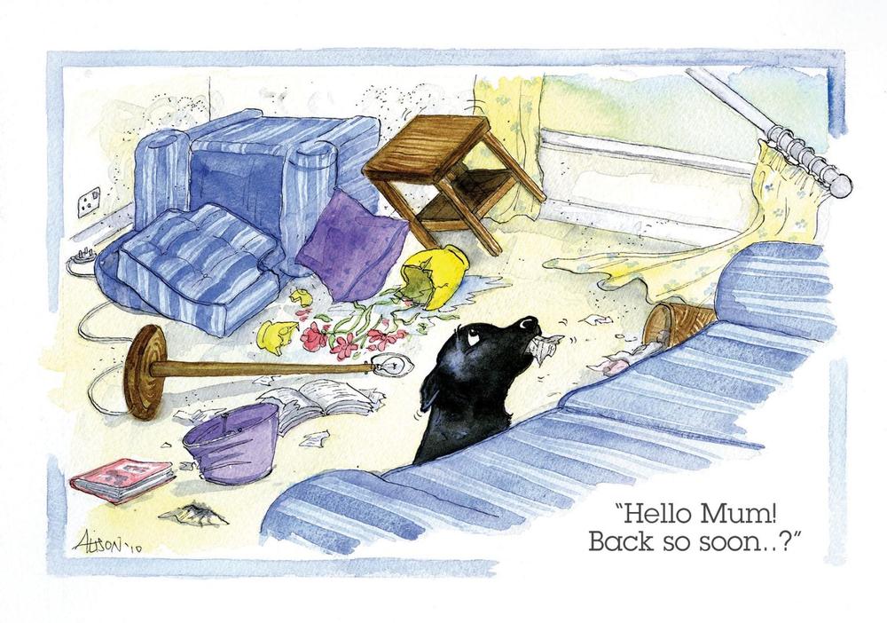 Hello Mum Back So Soon Naughty Dog Alison's Animals Cartoon Greeting Card | Cards Hello Mum Back So Soon Naughty Dog Alison's Animals Cartoon Greeting Card | Cards