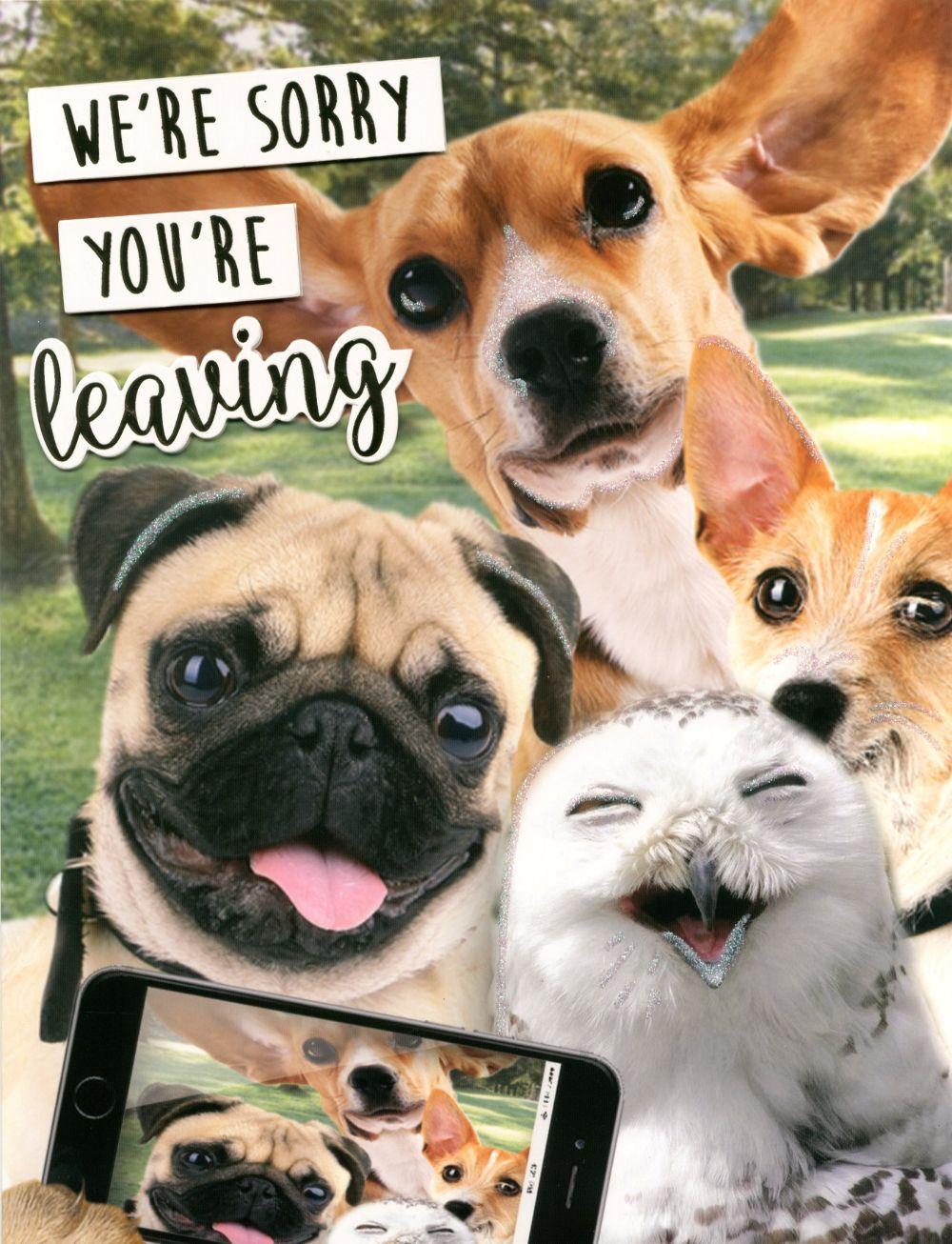 Sorry You're Leaving Dogs Gigantic A4 Embellished Greeting Card Cards