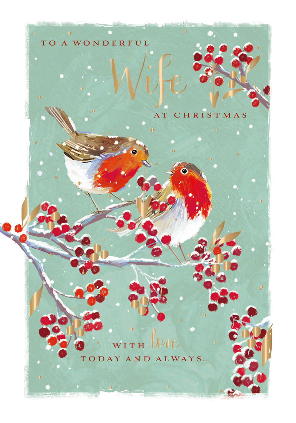 The Wildlife Wonderful Wife Festive Robins Christmas Card Cards