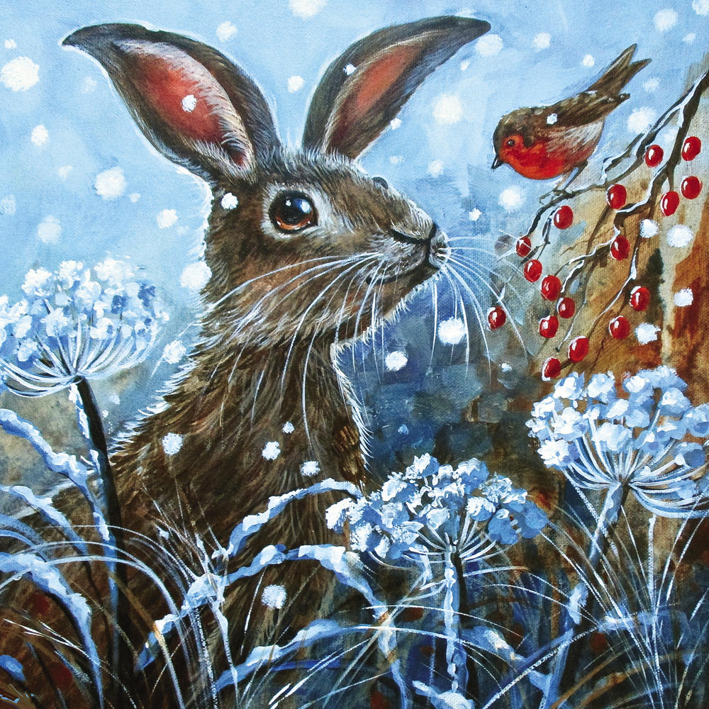Box of 20 Moonlit Hare Fairdeal Charity Christmas Cards Cards
