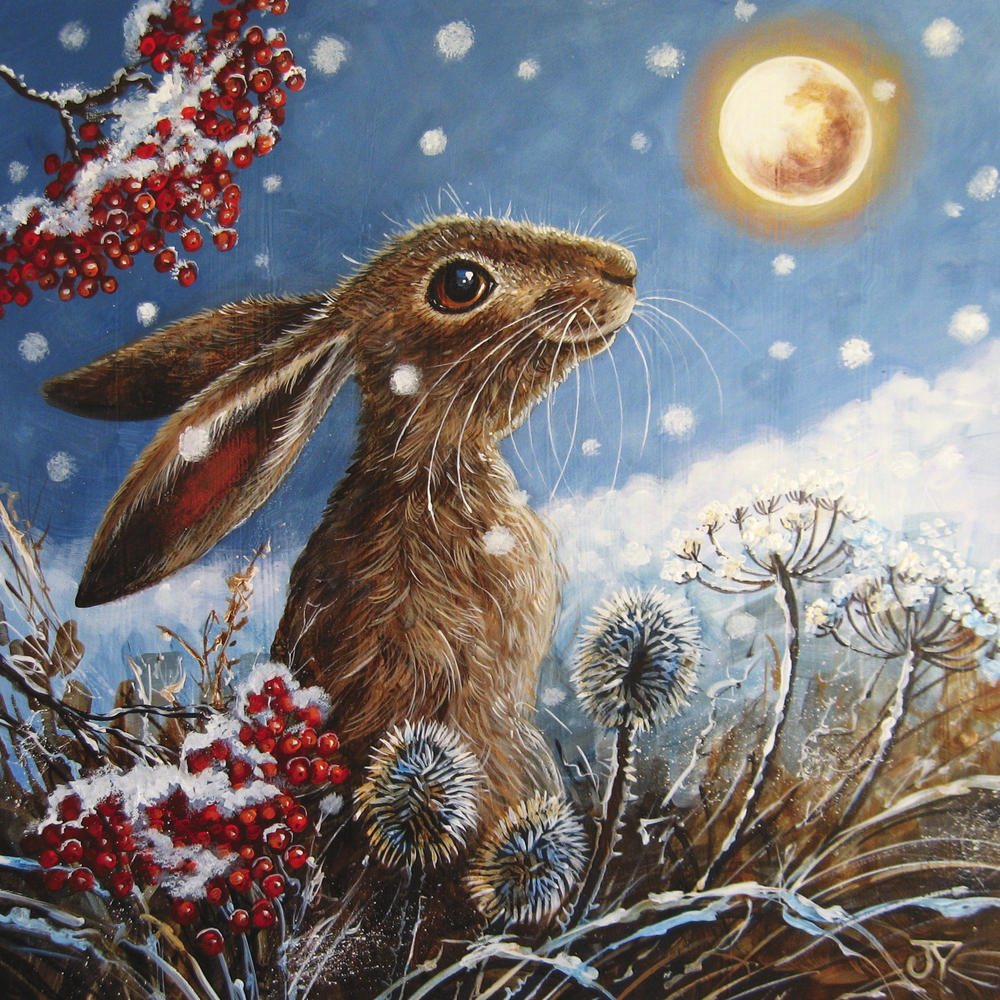 Box of 20 Moonlit Hare Fairdeal Charity Christmas Cards Cards