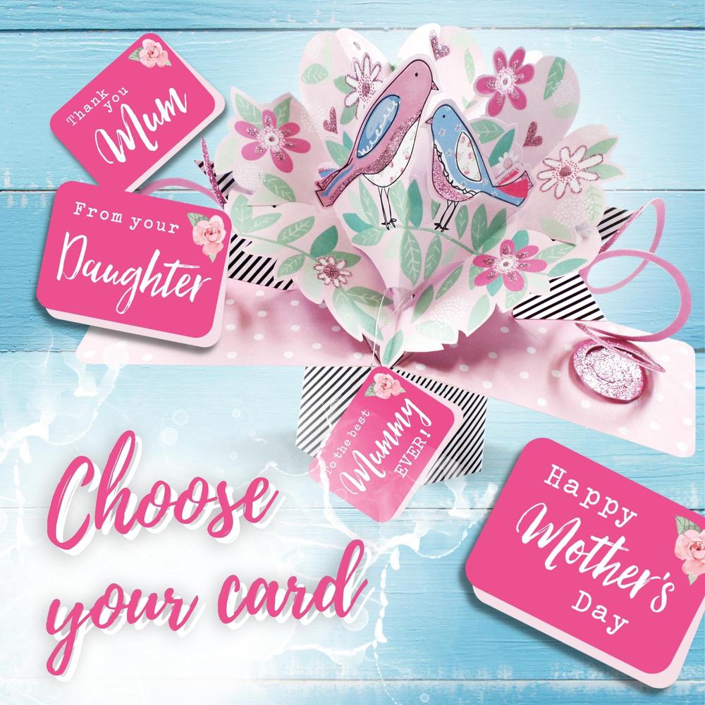 Pretty Birds Pop Up Greeting Card Choice Of Cards Cards