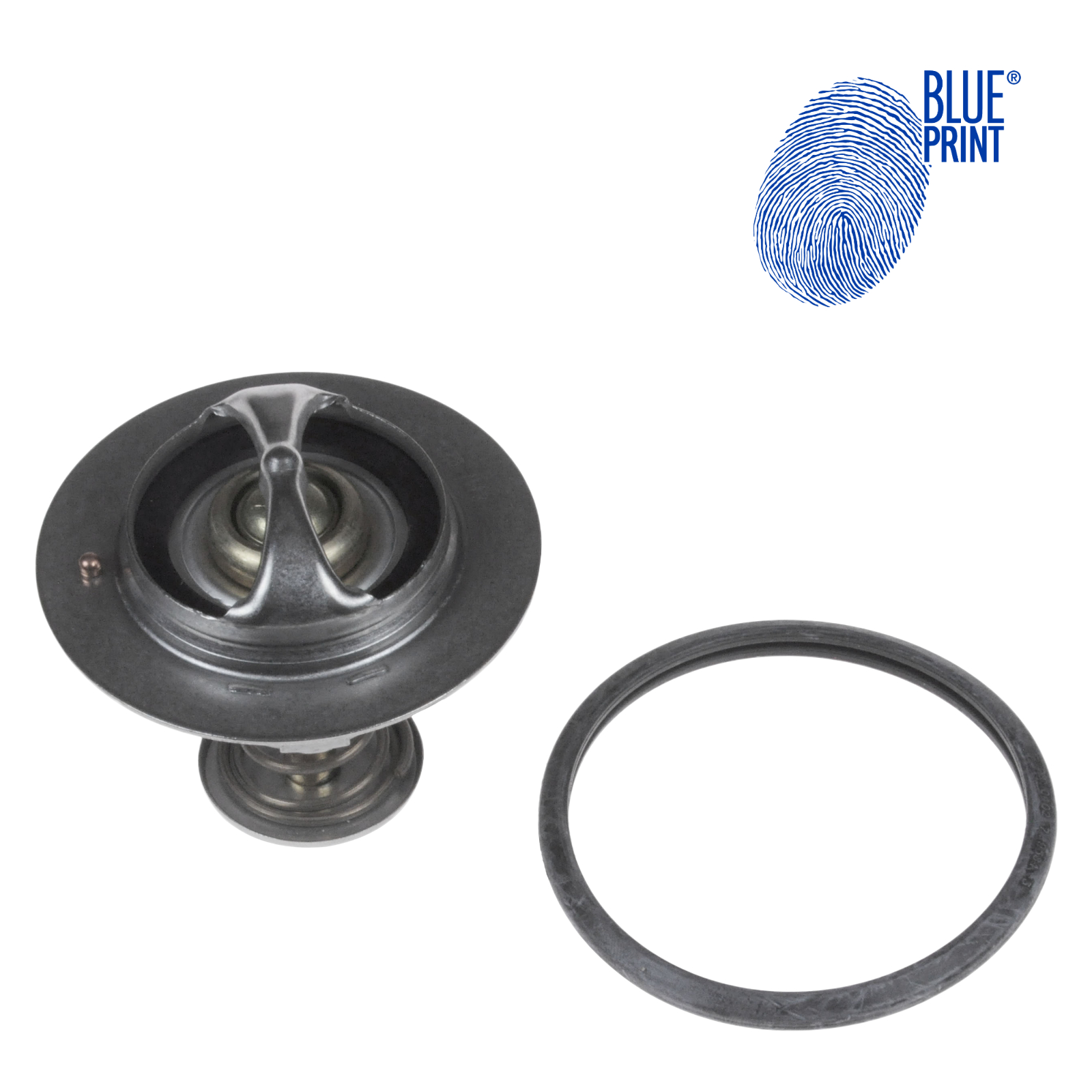 Blue Print Thermostat – ADG09221