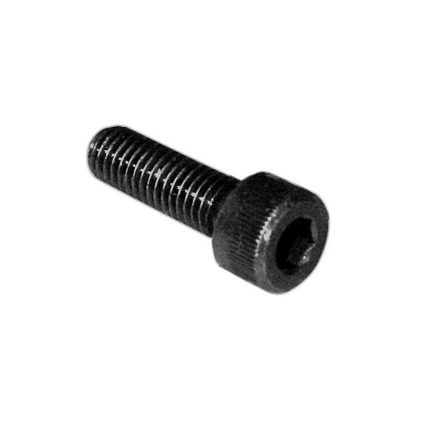 WOT-NOTS Screw Socket Cap  – M4 x 20 – Pack of 5 [PWN553]