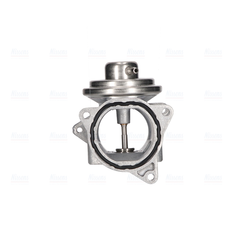 Nissens EGR Valve 98173