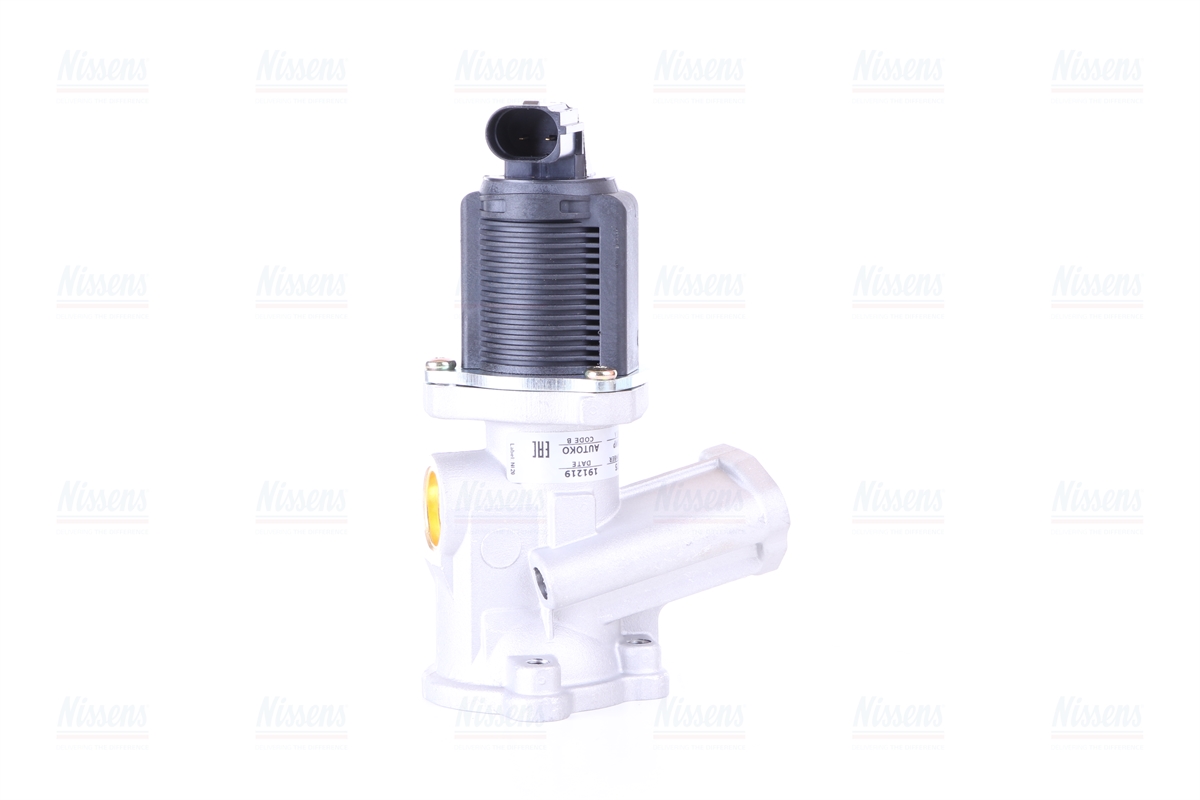 Nissens EGR Valve 98175