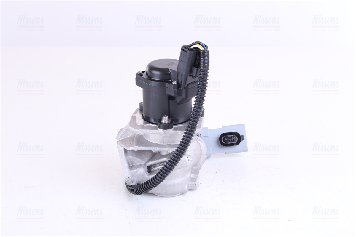Nissens EGR Valve 98244