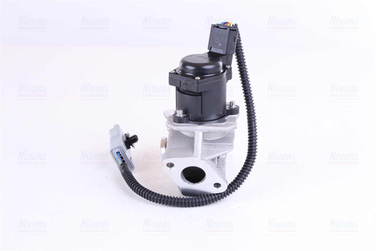 Nissens EGR Valve 98244