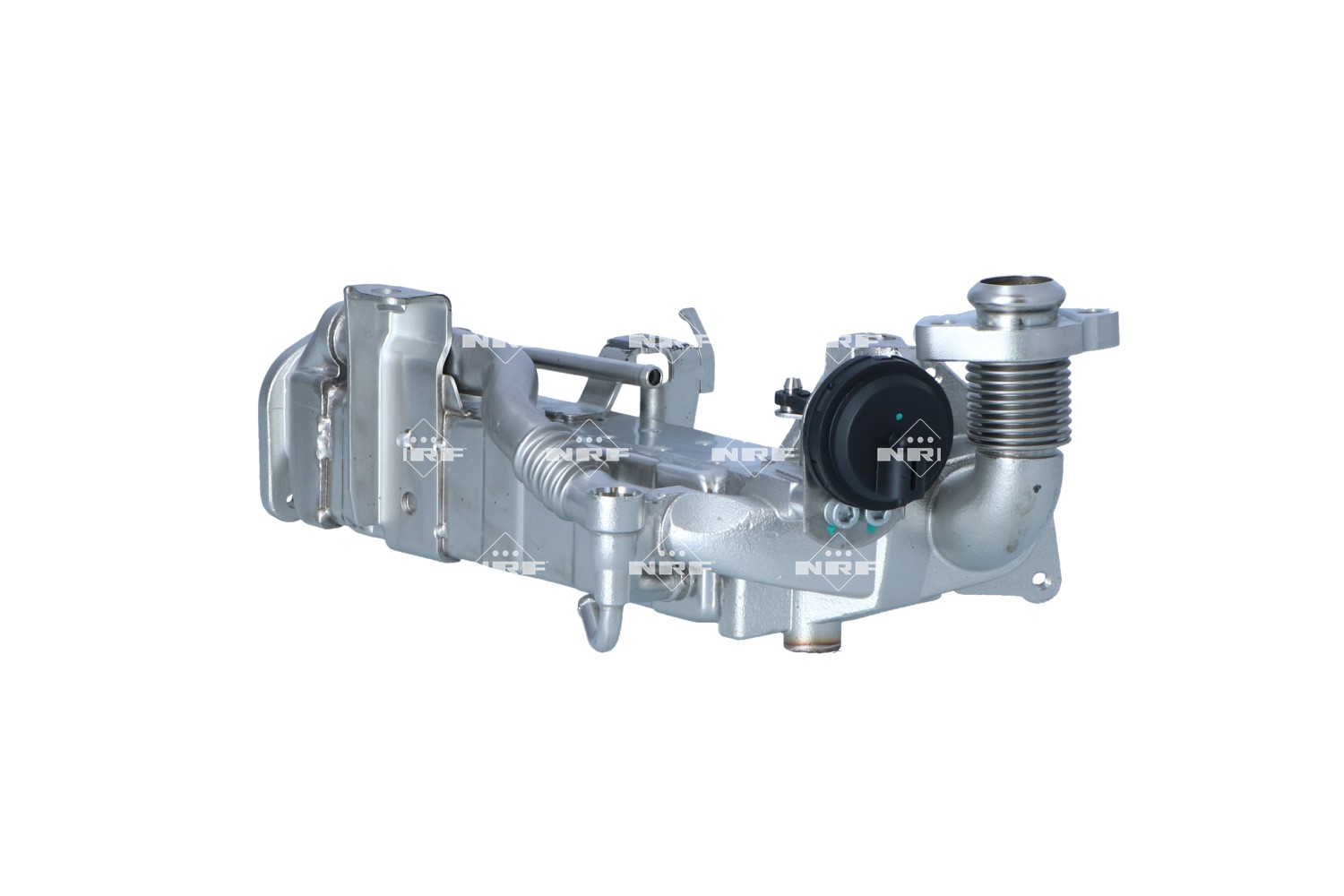 NRF EGR COOLER – 48411