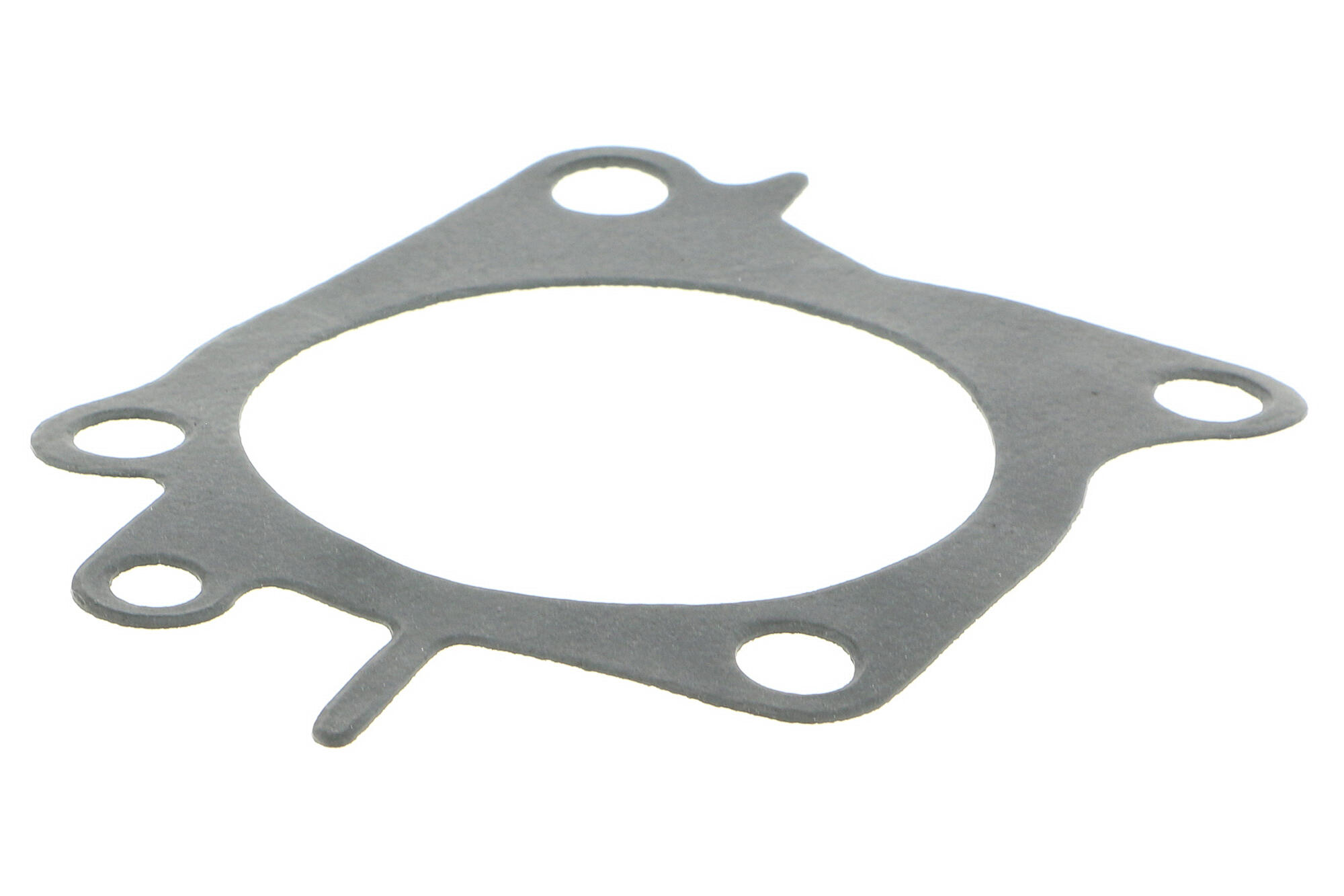 ACKOJA Water Pump, engine cooling A37-50006