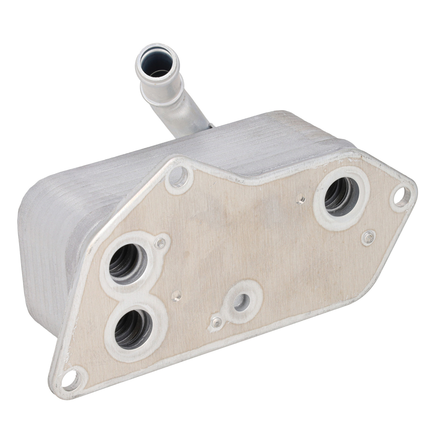 Febi Oil Cooler – 100564