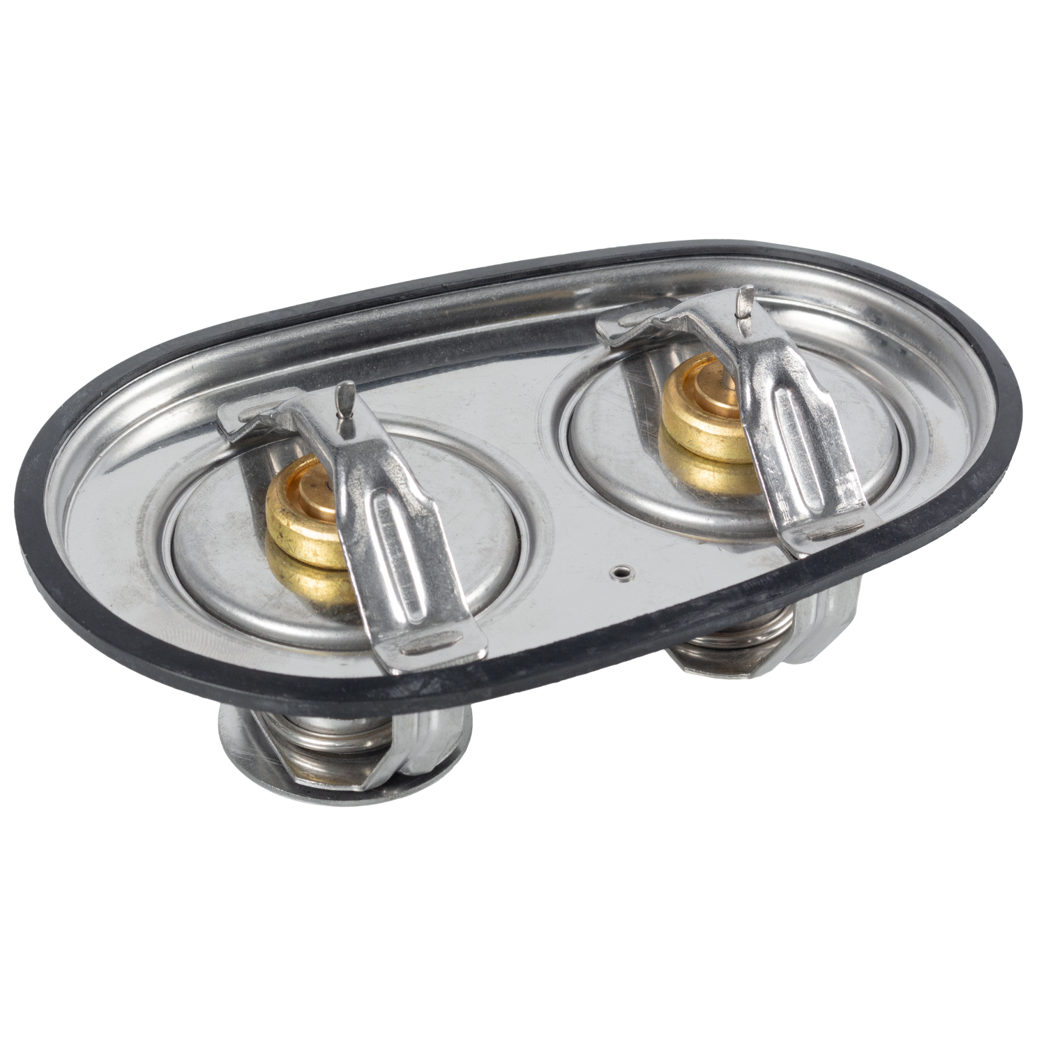 Febi Double Thermostat – 171127