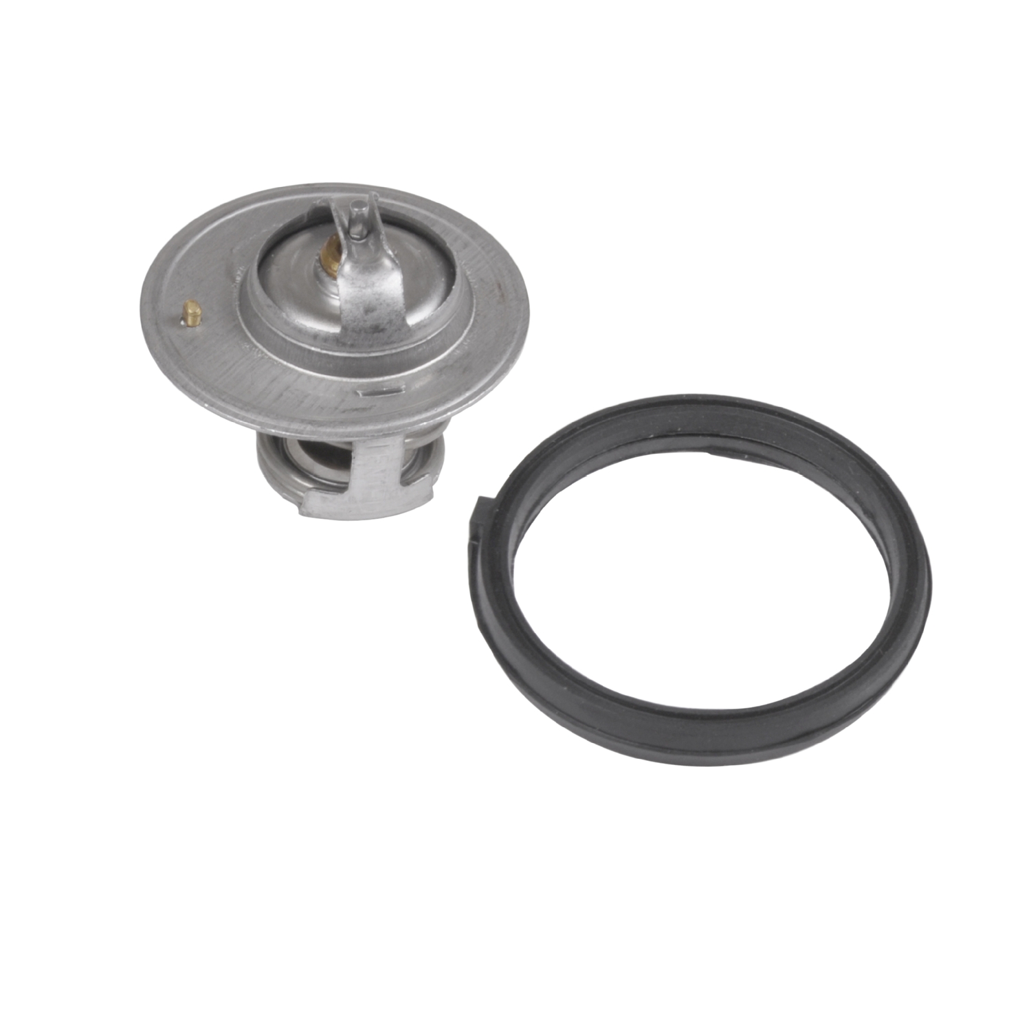 Blue Print Thermostat – ADA109210C