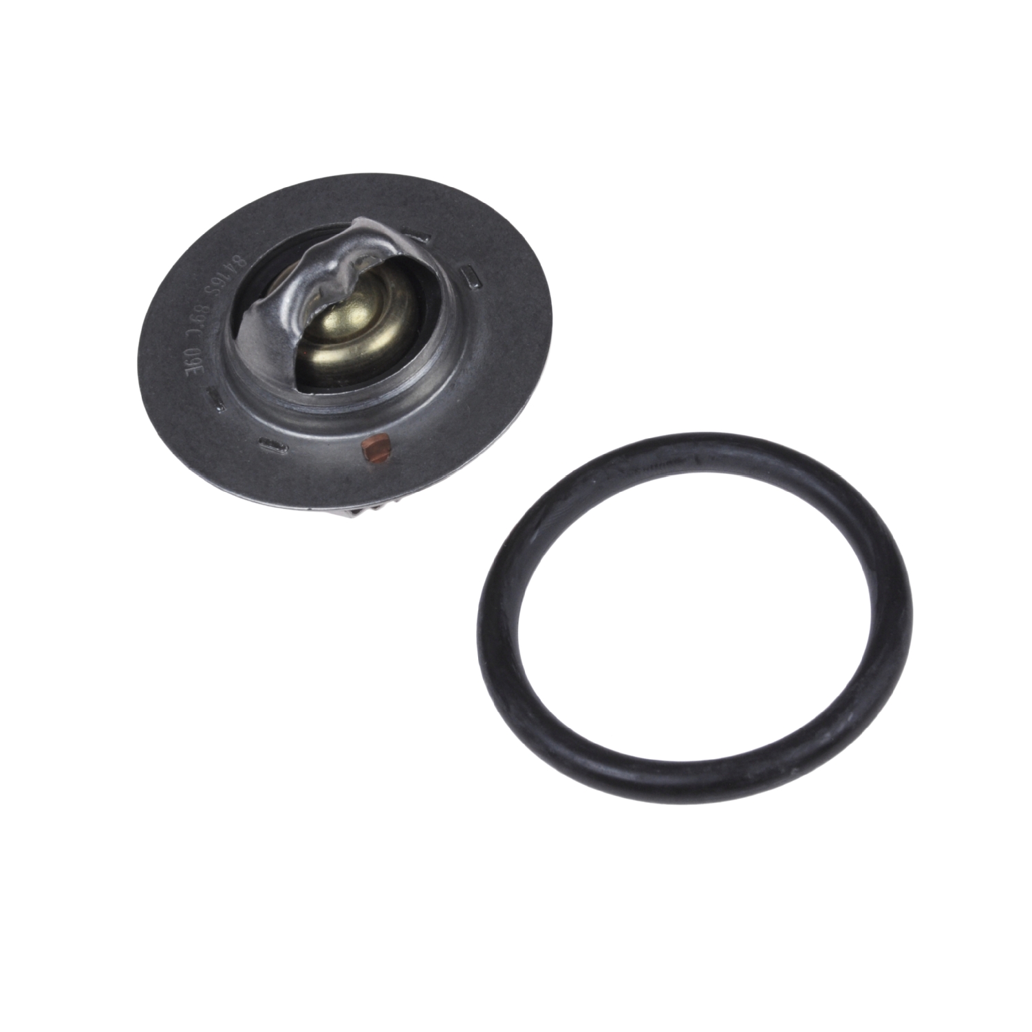 Blue Print Thermostat – ADC49215