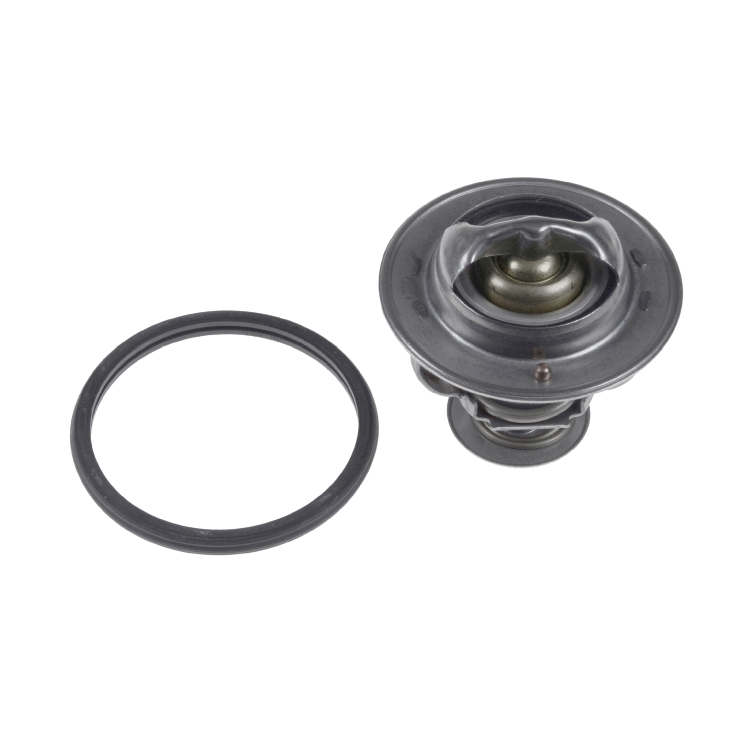 Blue Print Thermostat – ADC49228