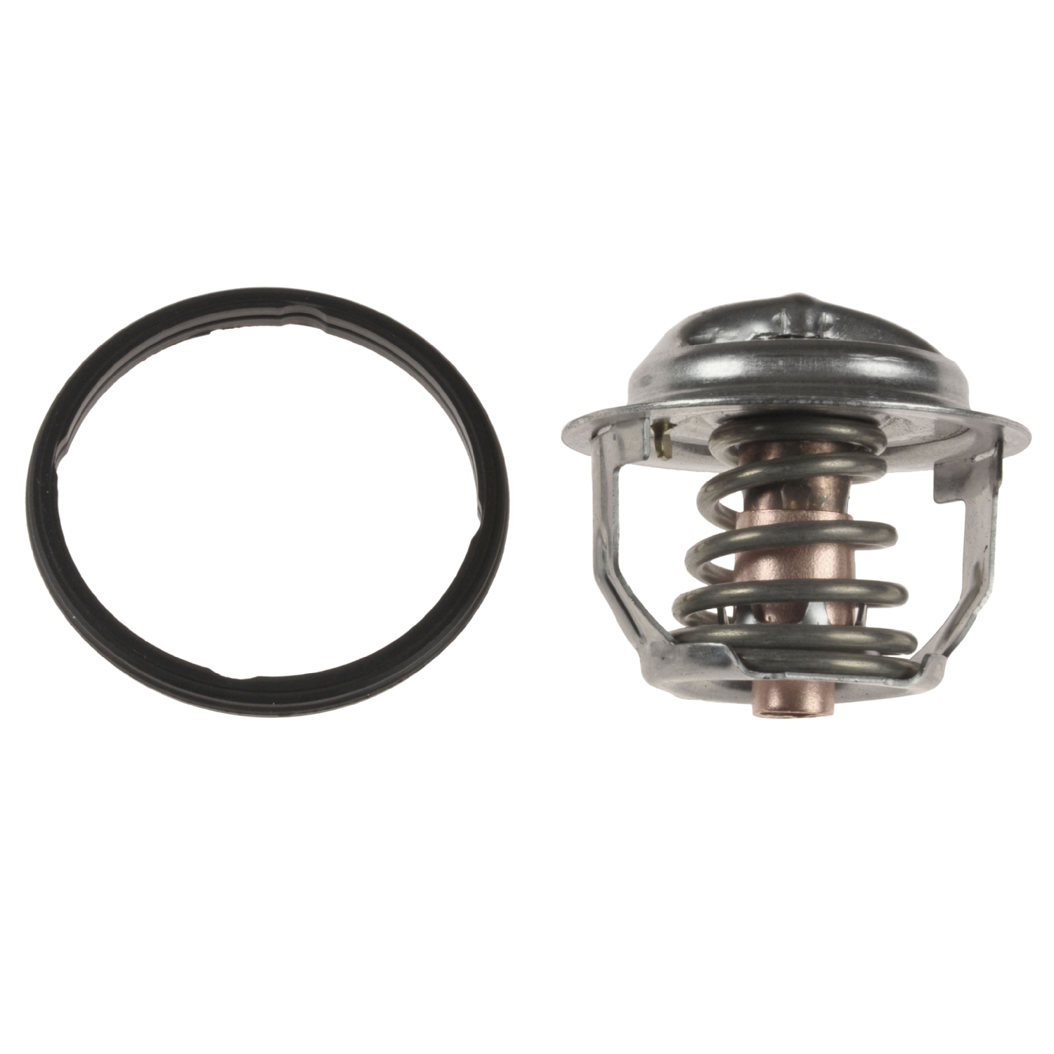 Blue Print Thermostat – ADS79202