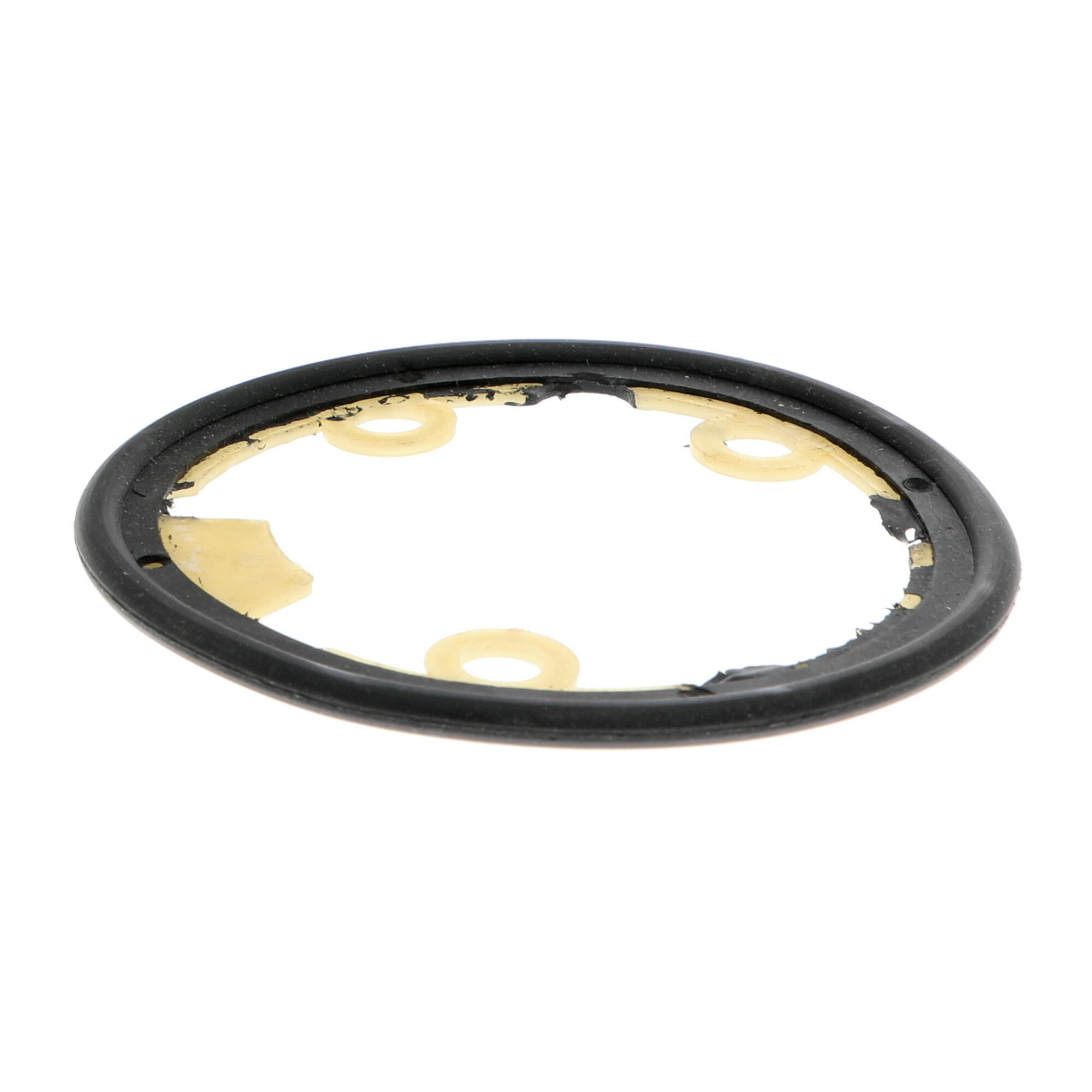 VEMO Oil Cooler, engine oil V24-60-0021