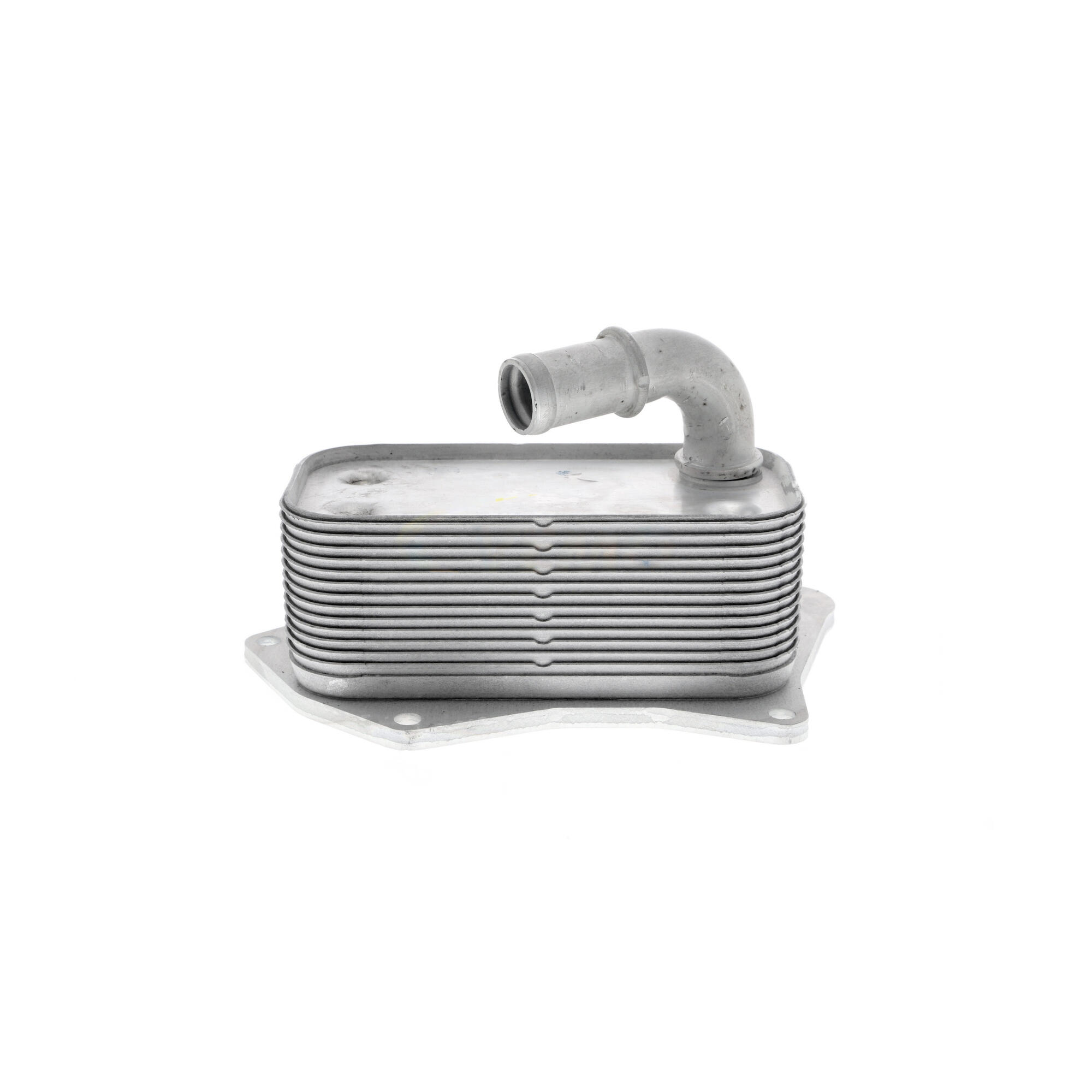 VEMO Oil Cooler, engine oil V40-60-2099