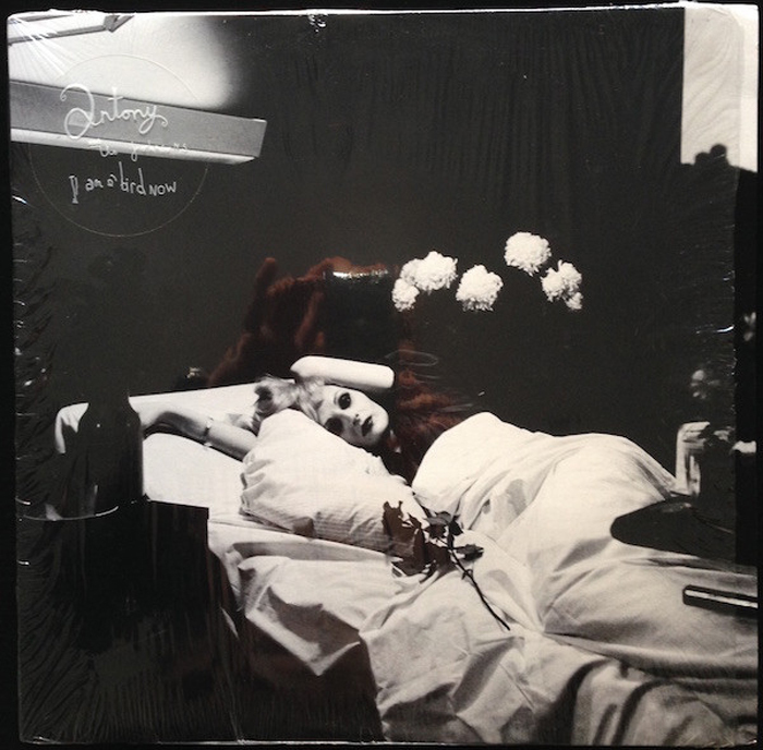 Antony & The Johnsons - I Am a Bird Now (Rough Trade) CD