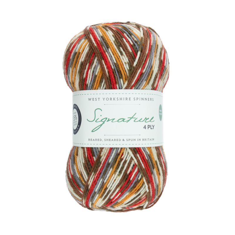 West Yorkshire Spinners Wool Signature 4 Ply WYS Sock Yarn Knitting Crochet 100g - Picture 60 of 254